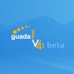 Beta de Guadalinex 4.1